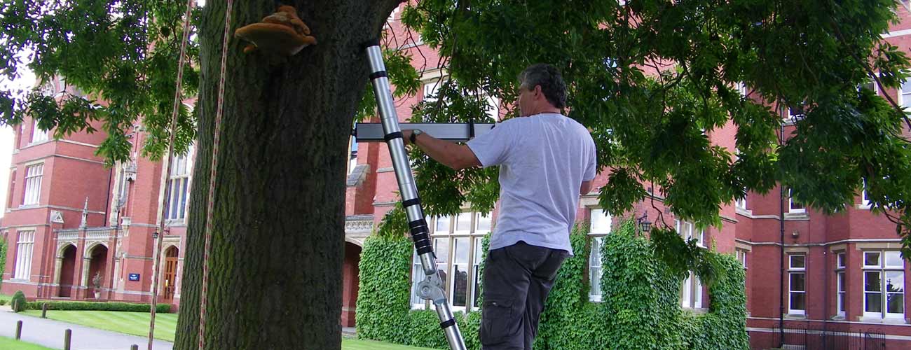 RGS arboricultural consultants have an extensive client base