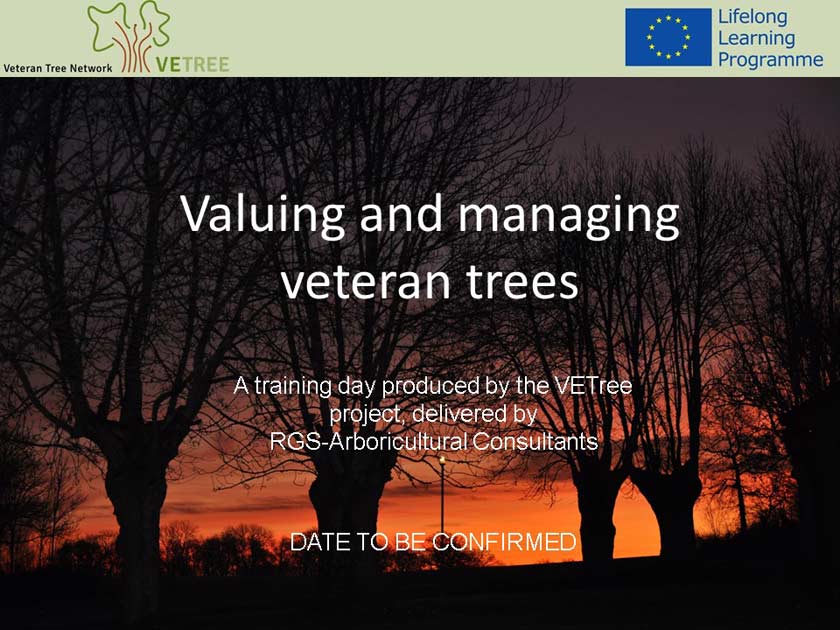 Valuing and managing veteran trees training course