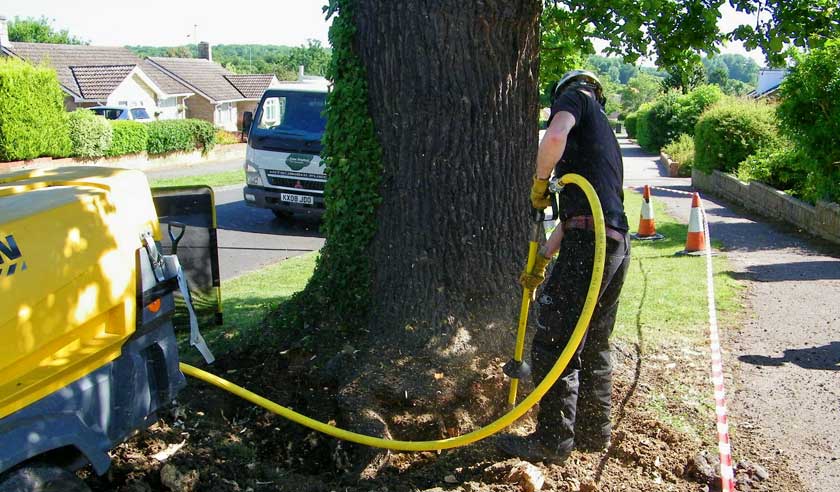 Air Spade used to expose and examine decayed roots