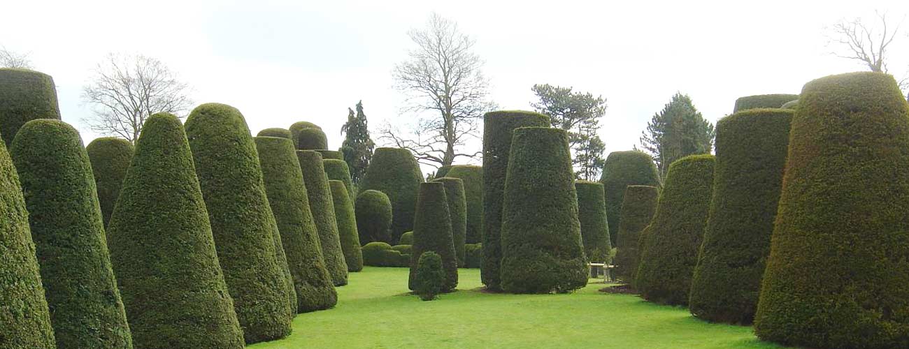 Topiary surveys in formal gardens, country parks and stately homes