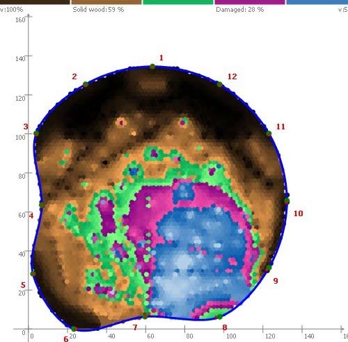 Graph image generated by Sonic Tomograph