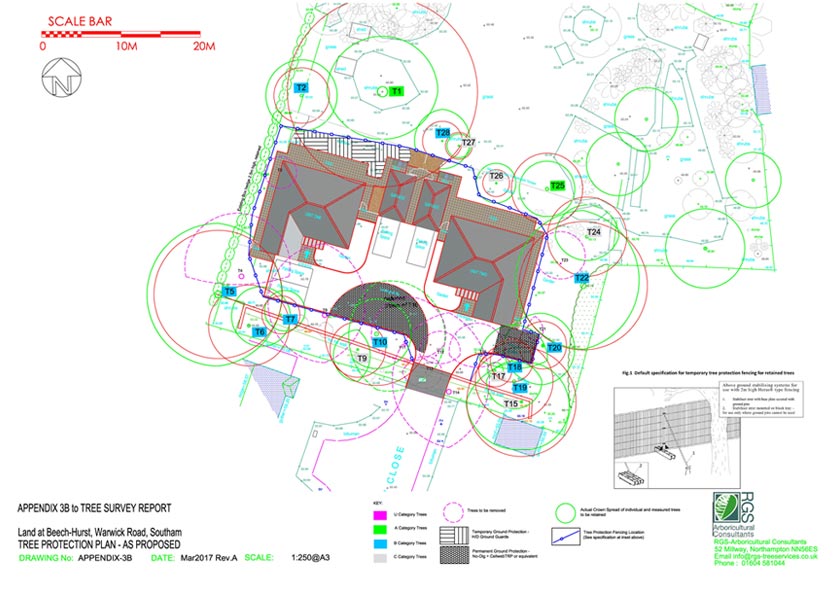 Tree Constraints & Protection Plan