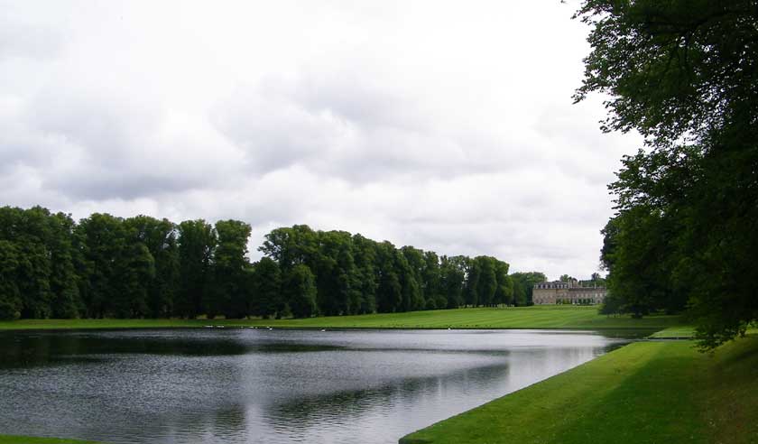 Veteran lime avenues at Boughton Estates, Northamptonshire