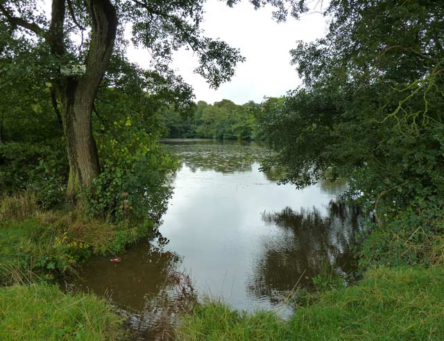 One of the lakes at Wedgewood